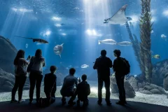 Oceanário de Lisboa