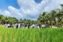 Old Phuket Farm