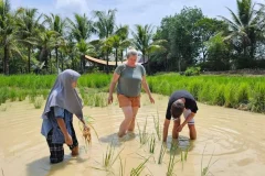 Old Phuket Farm