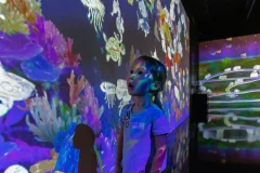 OliOli® Children Museum