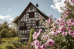 Open-Air Museum Ballenberg