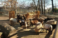 Oradea Zoo