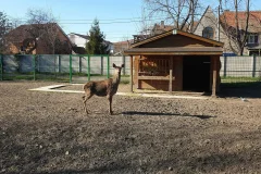 Oradea Zoo
