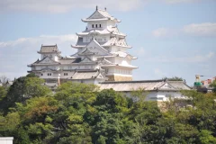 Osaka City Cards
