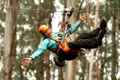 Otway Fly Treetop Adventures
