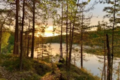 Outdoor Activities in Johanneshov