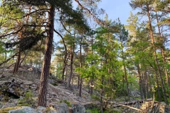 Outdoor Activities in Johanneshov