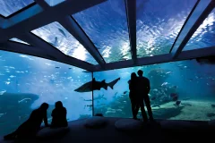 Palma Aquarium