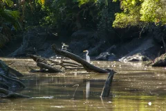 Palo Verde National Park