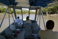 Palo Verde National Park
