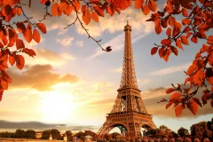Paris Day Trips from Amsterdam