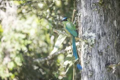 Parque Arví