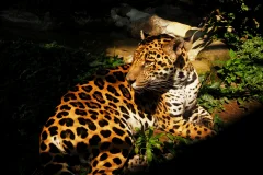 Parque de la Conservación Medellín