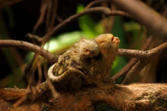 Parque de la Conservación Medellín