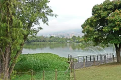 Parque Norte Medellín