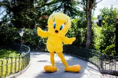 Parque Warner Madrid
