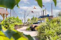 Parrot World - The Immersive Animal Park