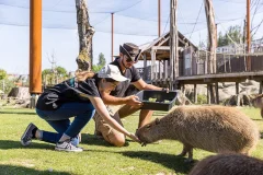 Parrot World - The Immersive Animal Park