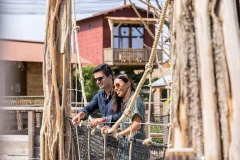 Parrot World - The Immersive Animal Park
