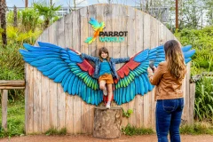Parrot World - The Immersive Animal Park