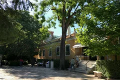 Peggy Guggenheim Collection
