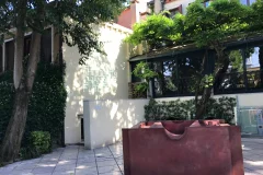 Peggy Guggenheim Collection