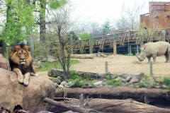 Peoria Zoo