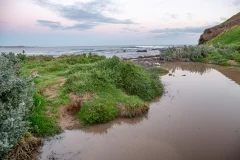 Phillip Island Nature Parks