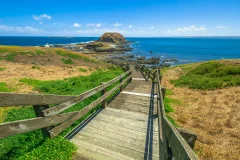 Phillip Island Nature Parks