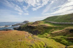 Phillip Island Nature Parks