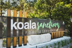Port Stephens Koala Sanctuary