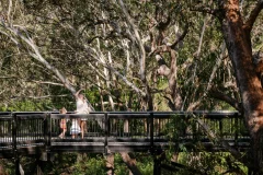 Port Stephens Koala Sanctuary