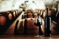 Porto Wine Tasting
