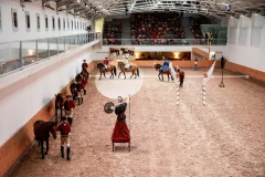 Portuguese School of Equestrian Art