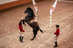 Portuguese School of Equestrian Art