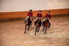 Portuguese School of Equestrian Art