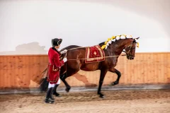 Portuguese School of Equestrian Art
