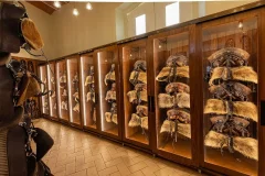 Portuguese School of Equestrian Art