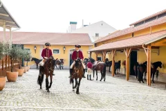 Portuguese School of Equestrian Art