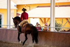 Portuguese School of Equestrian Art