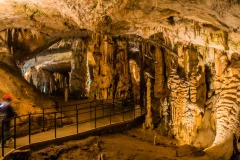 Postojna Cave