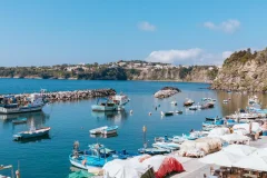 Procida Day Trips from Naples
