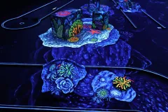 3D Blacklight Minigolf Dubai
