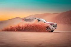 Abu Dhabi: Evening Desert Safari Tour + Dinner