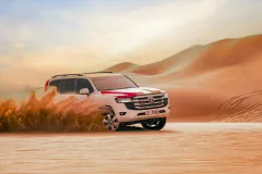 Abu Dhabi: Morning Desert Safari Tour