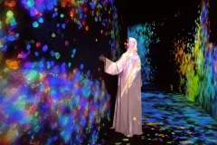 Abu Dhabi: teamLab Phenomena