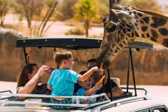 Al Ain Zoo: Entry Ticket