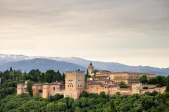 Alhambra: Guided Tour with Flamenco Show & Drink + Transport from Granada