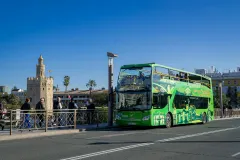 Alsa Seville: 48-Hr Hop-on Hop-off Bus, Walking Tour, Cruise + Flamenco Show