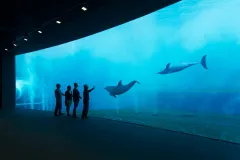 Aquarium of Genoa: Entry Ticket + Ice Cream Tasting